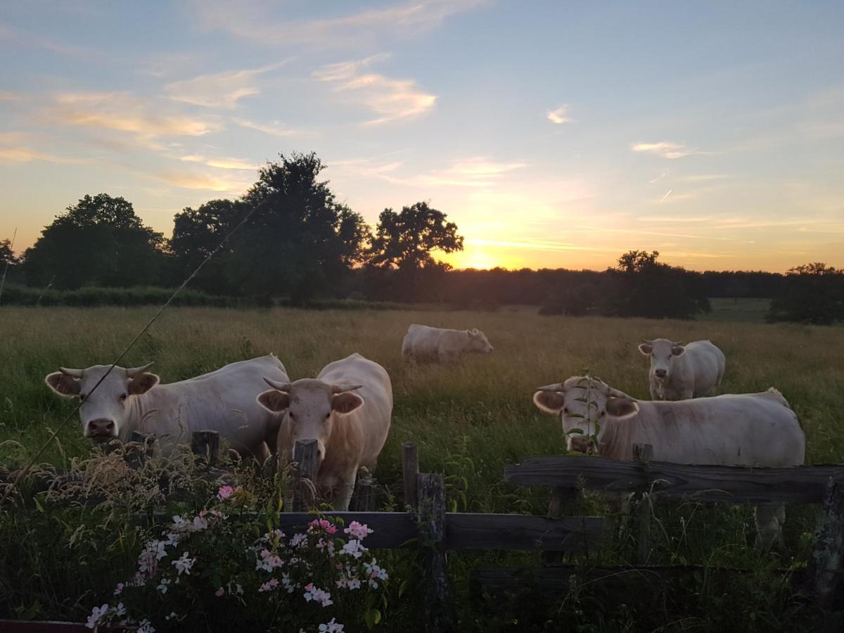 La Lisiere Du Morvan Magny-Lormes Eksteriør billede